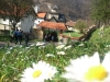 Посјета манастирима Лелић, Ћелије и Пустиња Посјета манастирима Лелић, Ћелије и Пустиња