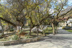 Манастир Пећка Патријаршија