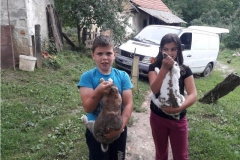Добротворне акције Баштионика у Петровском посту, 2018. љ.Г.