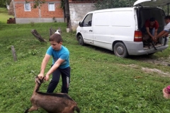 Добротворне акције Баштионика у Петровском посту, 2018. љ.Г.