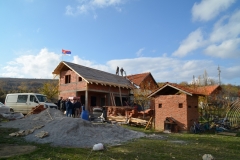 81
