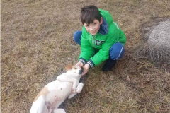 Помоћ Пећанцима Помоћ Пећанцима
