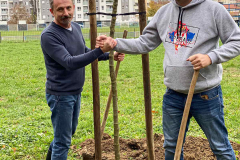 Засађен Баштиоников дрворед