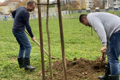 Засађен Баштиоников дрворед