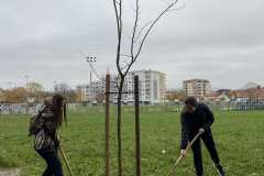 Засађен Баштиоников дрворед