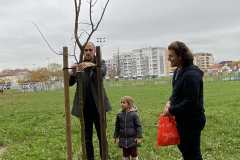 Засађен Баштиоников дрворед